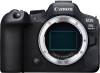 Canon EOS R6 Mark II bestellen?