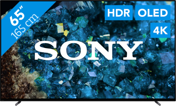 Sony Bravia OLED XR-65A80L bestellen?